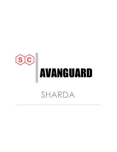 AVANGUARD