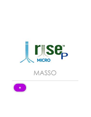 RISE P
