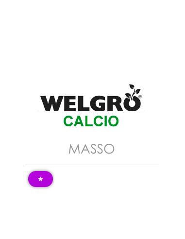 WELGRO CALCIO