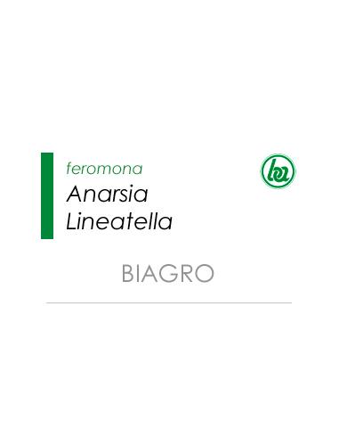 ANARSIA LINEATELLA · BIAGRO