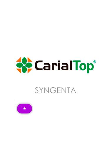 CARIAL TOP