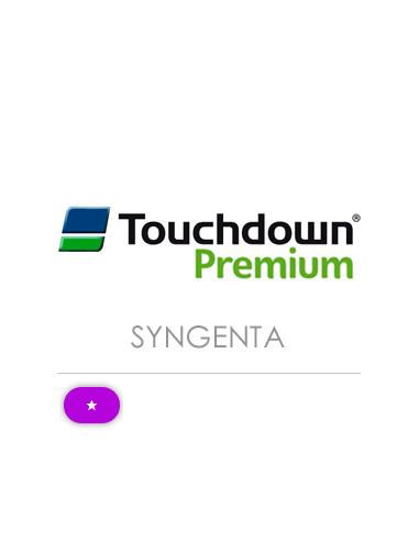 TOUCH DOWN PREMIUM