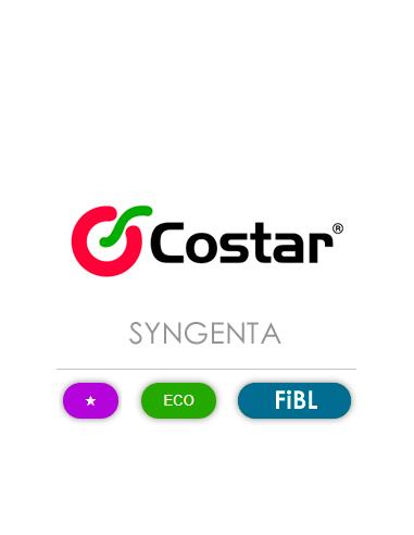 COSTAR WG