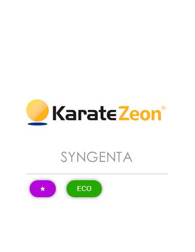 KARATE ZEON 10 CS