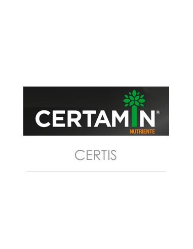 CERTAMIN