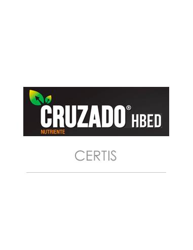 CRUZADO HBED