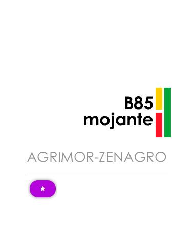 B-85