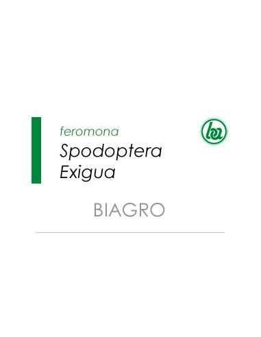 SPODOPTERA EXIGUA · BIAGRO