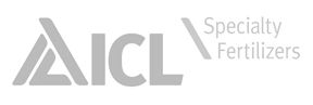 ICL